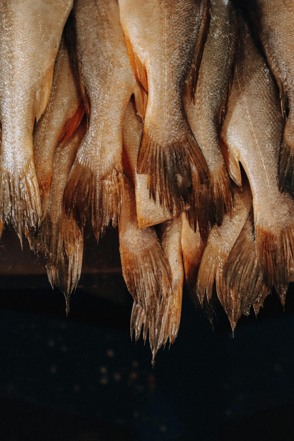 Economic lessons from the cod trade